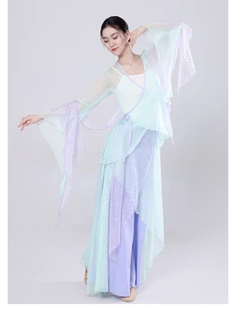 Классическая танцевальная газовая одежда Женский элегантный костюм Hanfu Шифоновое боди Китайская классическая танцевальная одежда для упражнений Костюм для выступлений